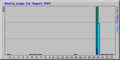 Hourly usage for August 2022