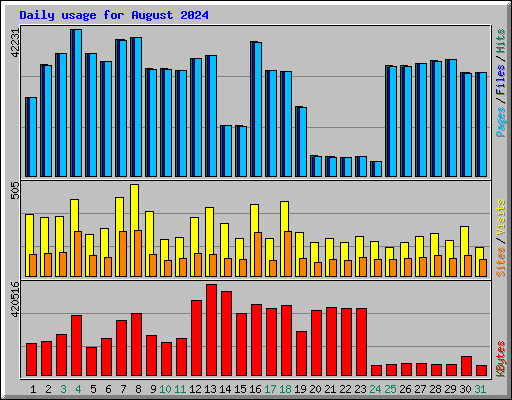 Daily usage for August 2024