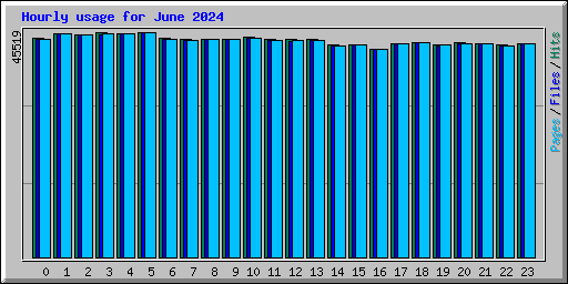 Hourly usage for June 2024