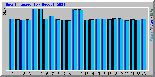 Hourly usage for August 2024