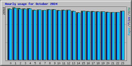 Hourly usage for October 2024