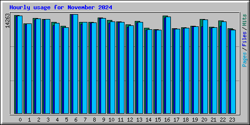 Hourly usage for November 2024