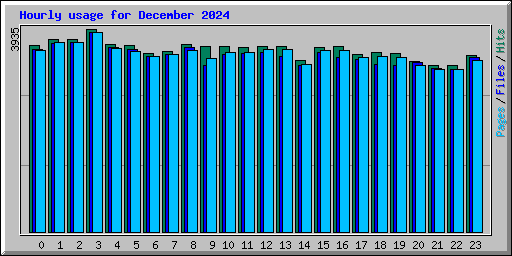 Hourly usage for December 2024